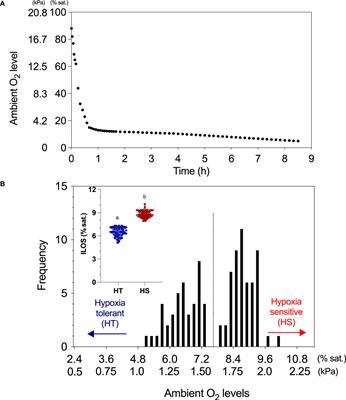 Testing the hypoxia tolerance and hypoxic performance of fishes: A two-tier screening approach